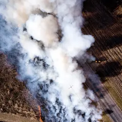 December 2017 (The Wilds)